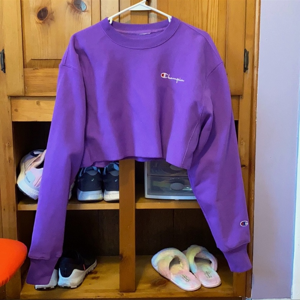 Champion crop top sweater